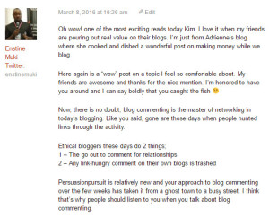 blog comment - enstine muki